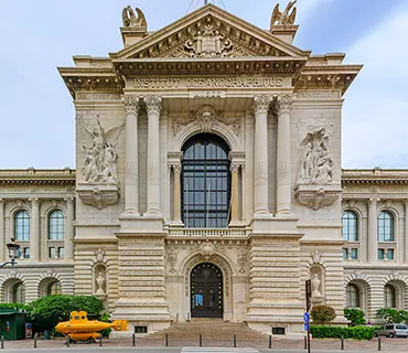 Museums and Institutes