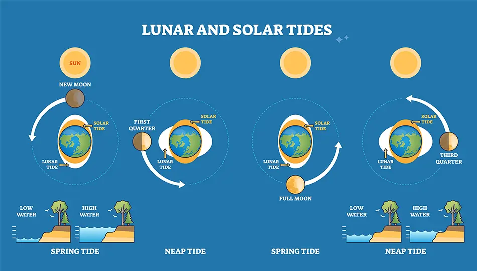 lunar and solar tides diagram