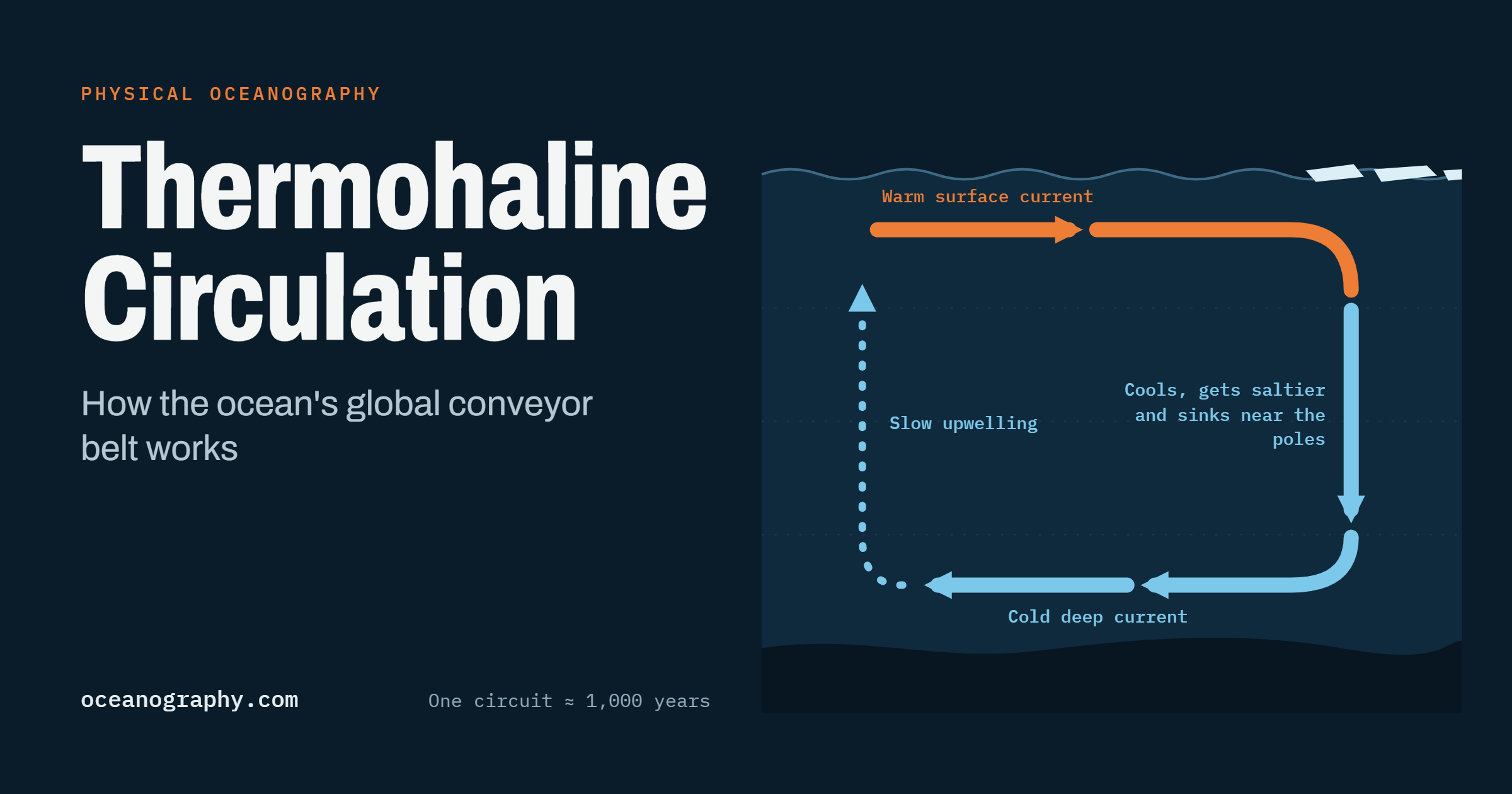 Thermohaline Circulation: How the Ocean Conveyor Works